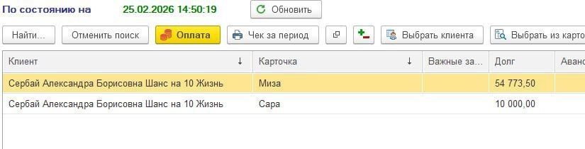 Миза и Сара