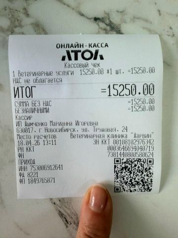 Огромное спасибо❤️ всем, кто нам помогает и участвует в жизни нашего приюта🙏