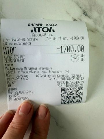 Огромное спасибо❤️ всем, кто нам помогает и участвует в жизни нашего приюта🙏 миниатюра 2