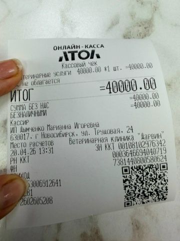 Огромное спасибо❤️ всем, кто нам помогает и участвует в жизни нашего приюта🙏 миниатюра 3