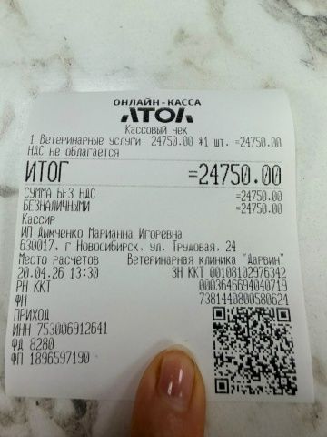 Огромное спасибо❤️ всем, кто нам помогает и участвует в жизни нашего приюта🙏 миниатюра 4