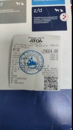 Огромное спасибо❤️ всем, кто нам помогает и участвует в жизни нашего приюта🙏 миниатюра 6