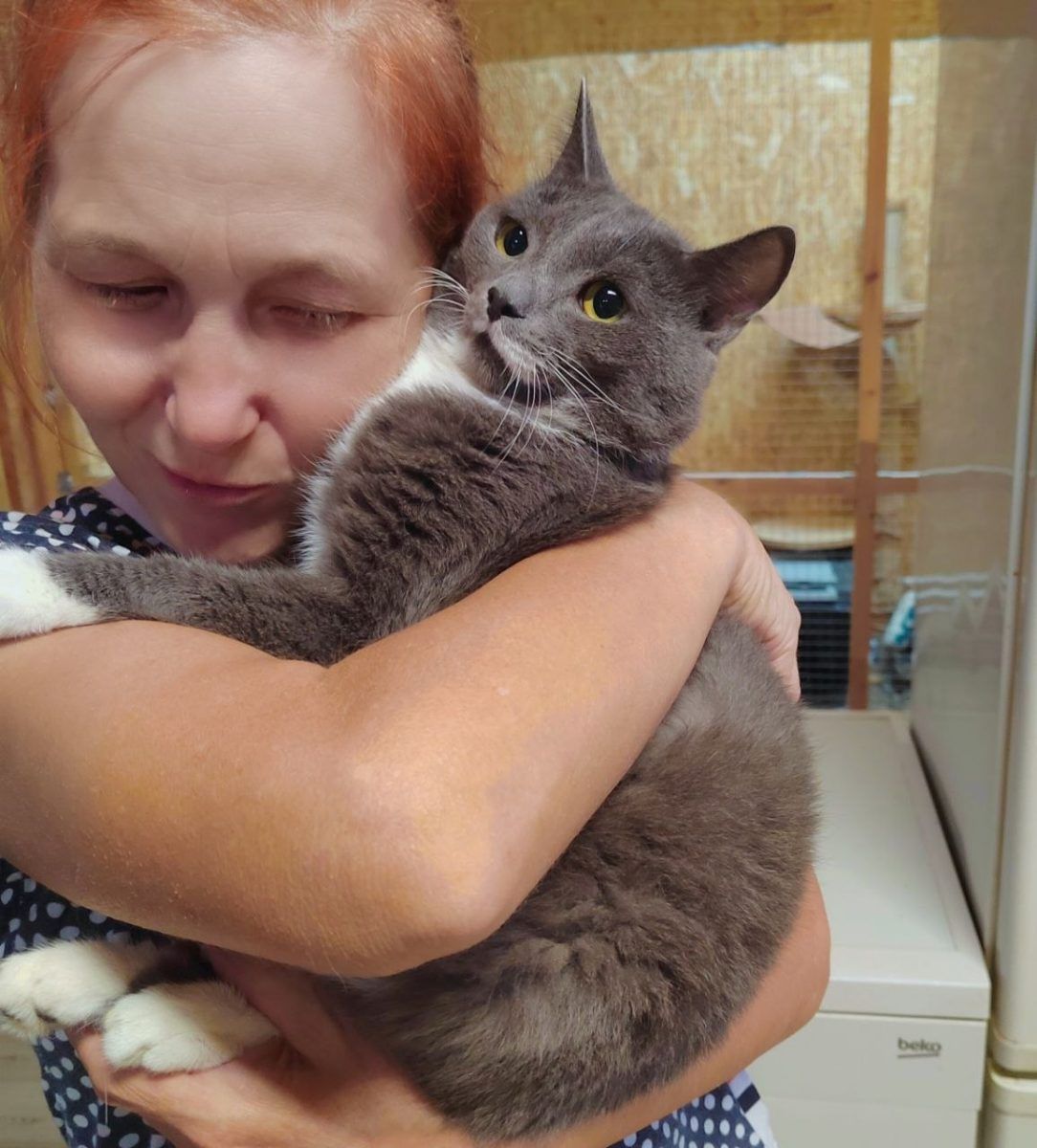 Нашу "Графиню" спасли от боли но долг в клинике остался 🥺 миниатюра 3