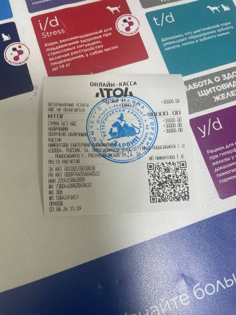 ✨Удалось закрыть предыдущие долги перед клиникой!!!✨ миниатюра 4