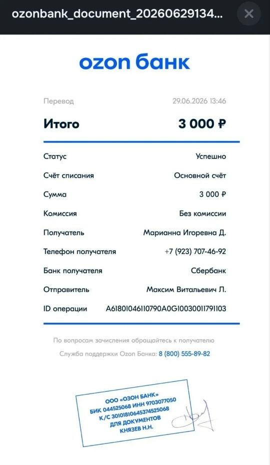 СПАСИБО!❤️ всем, кто нам помогает финансово 🤗 !!! миниатюра 2