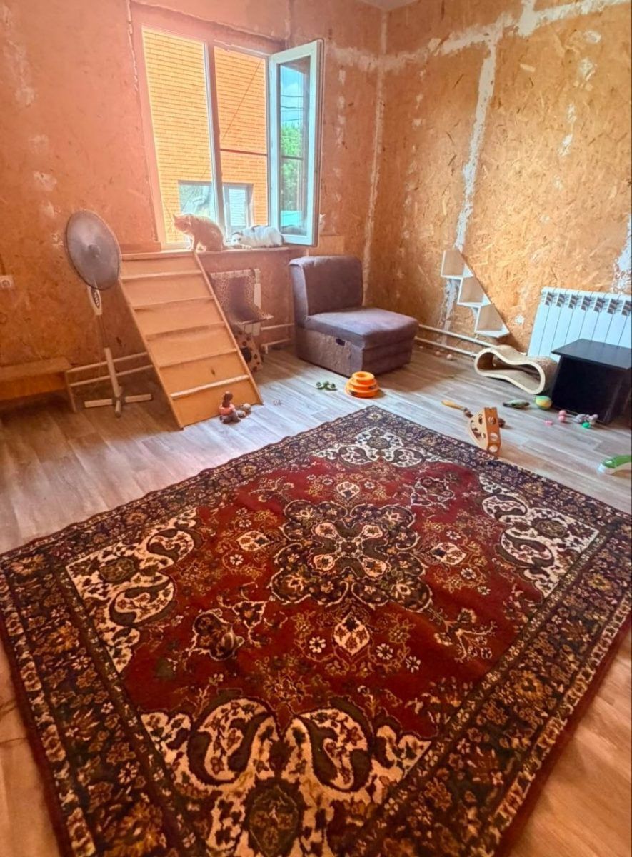 Модернизация приюта миниатюра 3