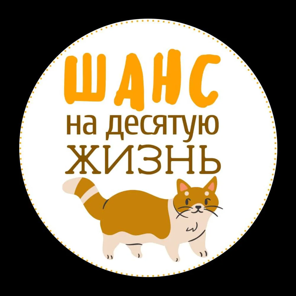А у нас сегодня БОООЛЬШАЯ НОВОСТЬ! миниатюра 3