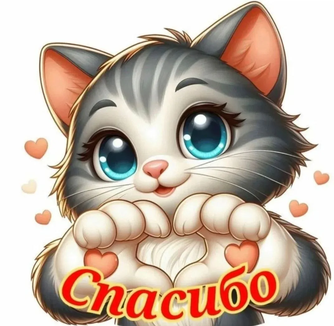 Подарочки нашим котикам🥰 миниатюра 3