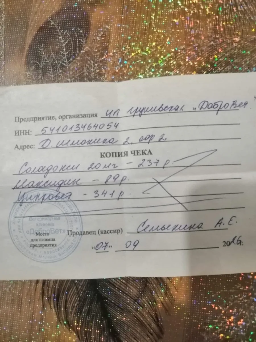 Большое спасибо за вашу поддержку миниатюра 9