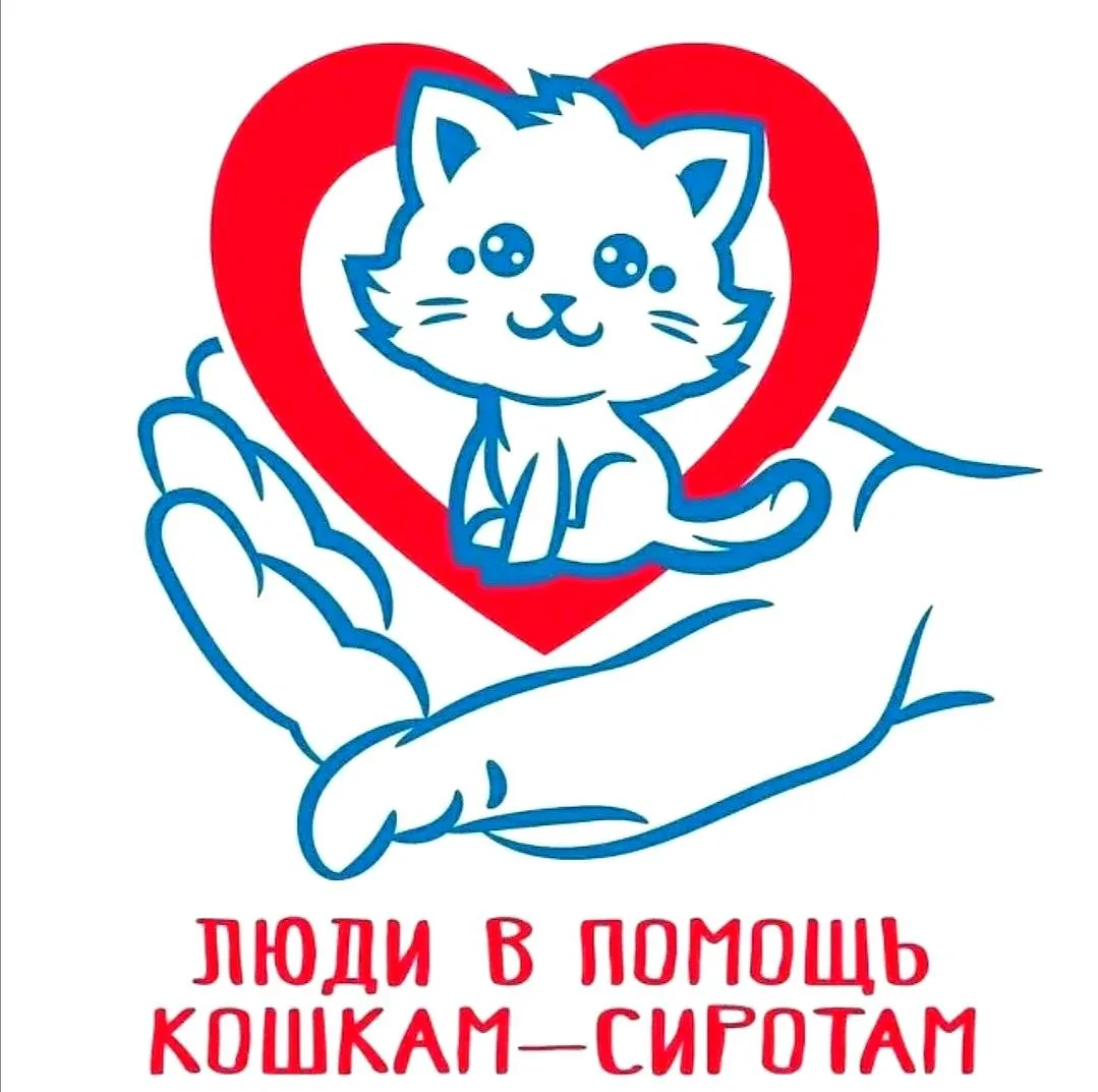 Наши гости миниатюра 2
