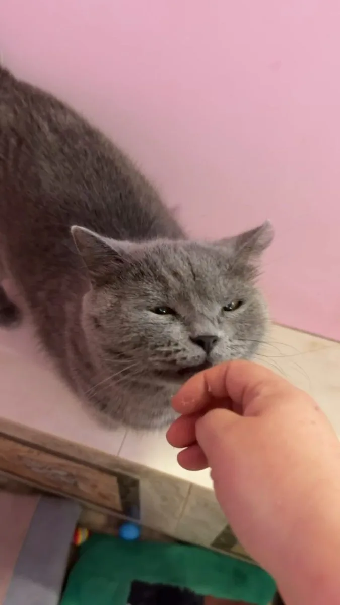 Всем мур мур мур 😻😻😻