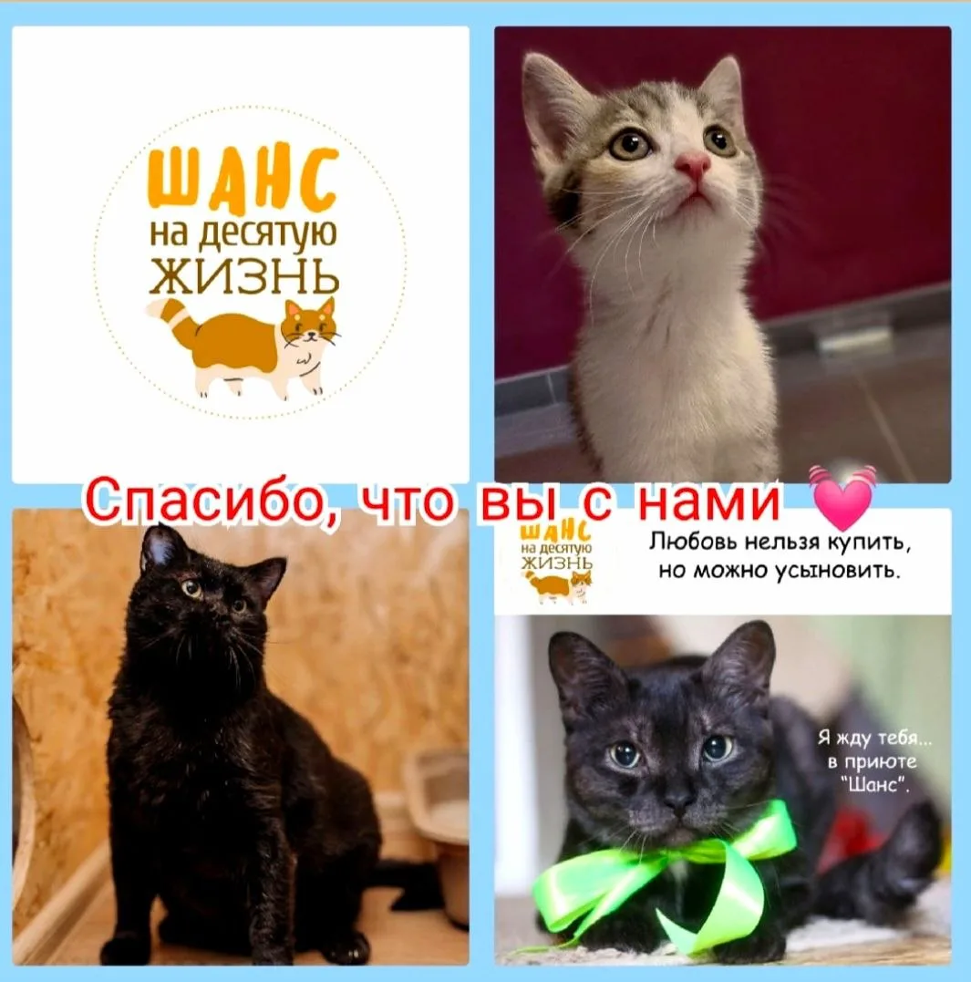 Безграничное спасибо ❤️, всем неравнодушным, за финансовую помощь 🙏