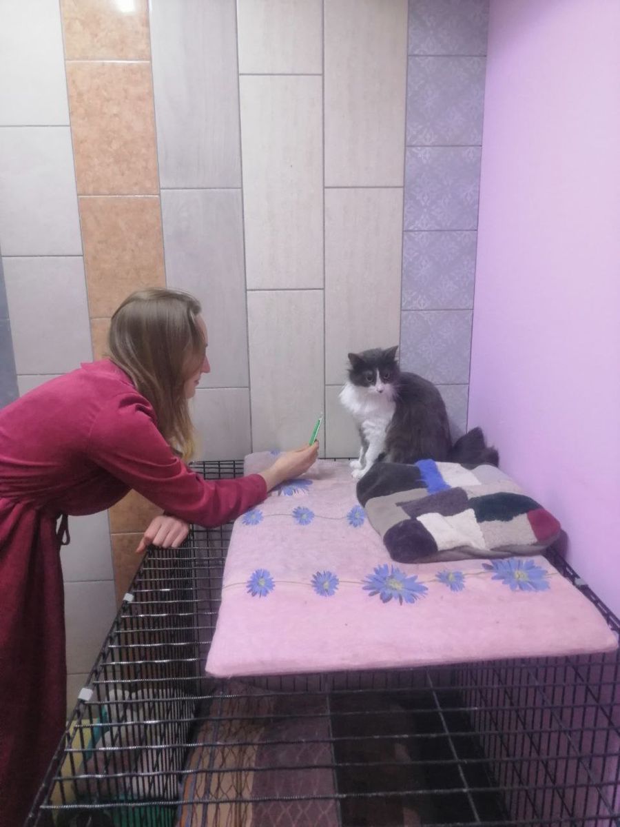 💓 Вульф в семье 💓