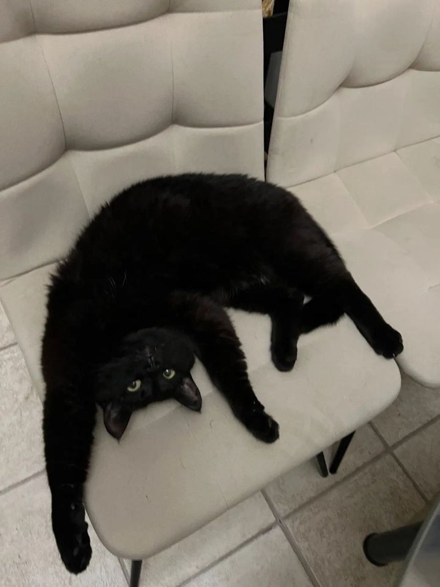 Привет от Марика💗