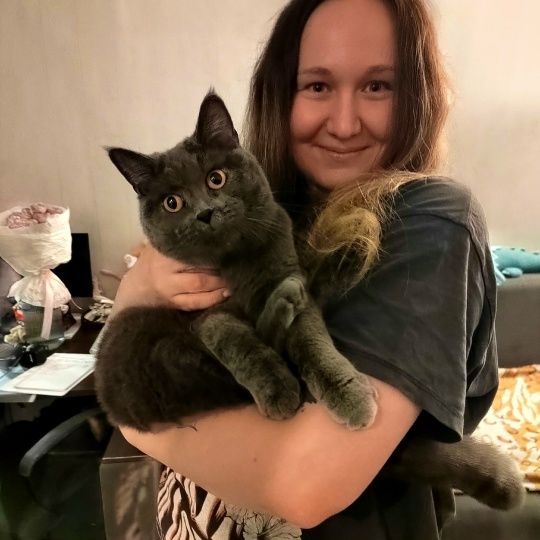 Стеллу удочерили 🏠🐈