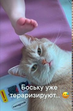 Привет от моих деток, Бостона (Боси) и его сестренки💕 миниатюра 3