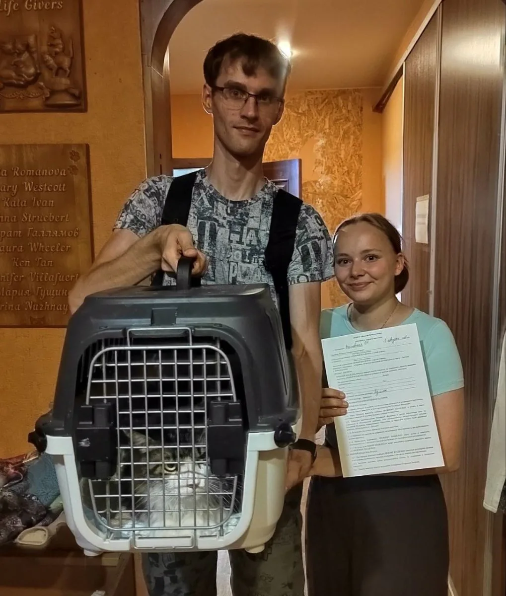Брутальный кот "Пушок" стал домашним🏠🐈 миниатюра 2